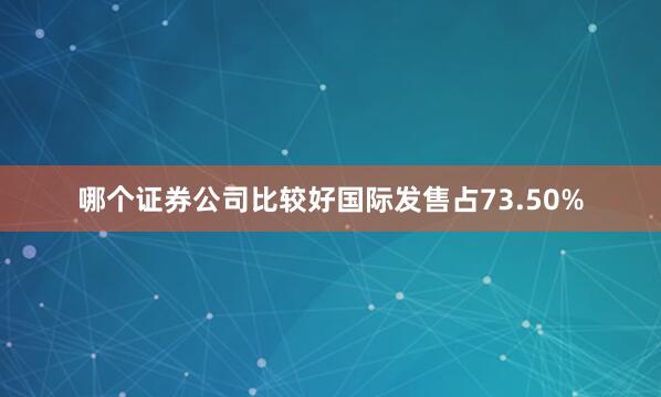 哪个证券公司比较好国际发售占73.50%