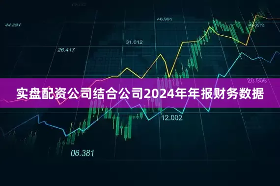 实盘配资公司结合公司2024年年报财务数据