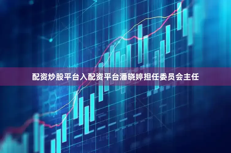 配资炒股平台入配资平台潘晓婷担任委员会主任