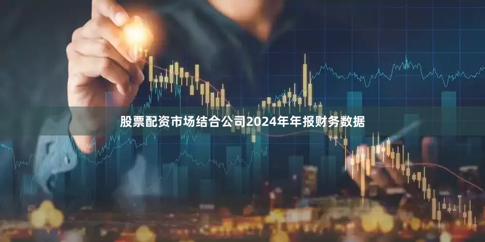 股票配资市场结合公司2024年年报财务数据