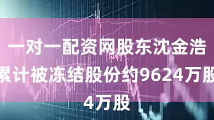 一对一配资网股东沈金浩累计被冻结股份约9624万股
